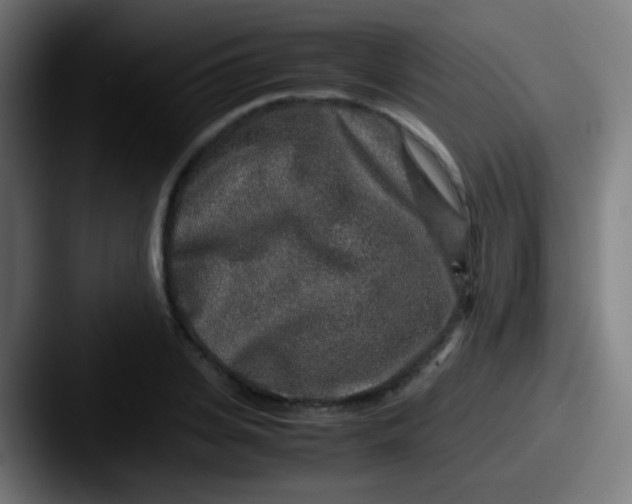 X0000087620935200705181310