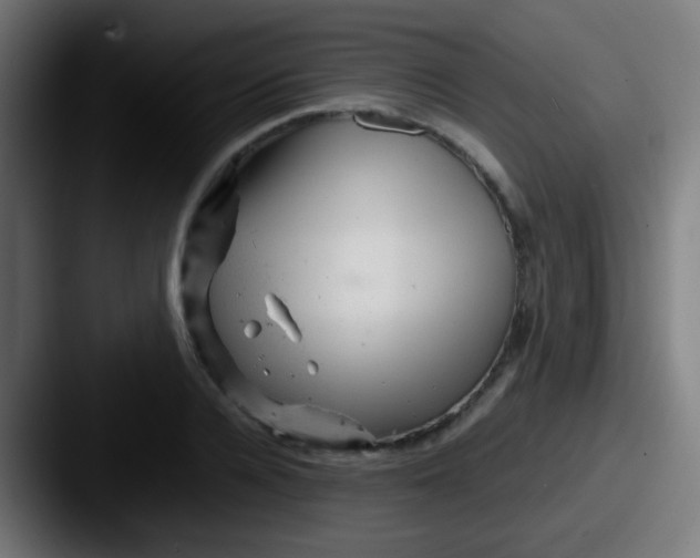 X0000087620936200705181310