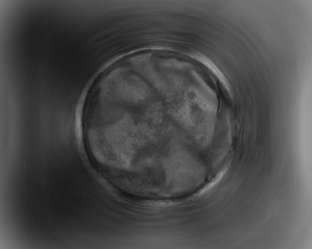 X0000087620939200705181310