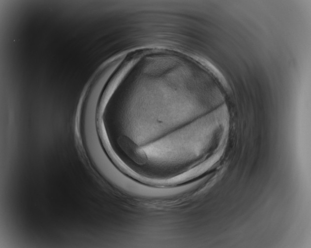 X0000087620940200705181310