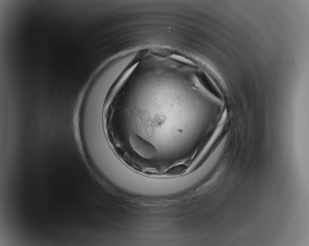 X0000087620942200705181310