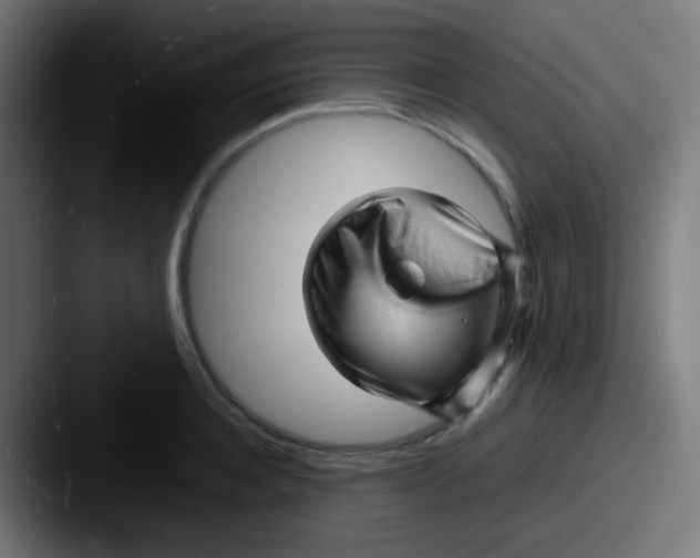 X0000087620944200705181310