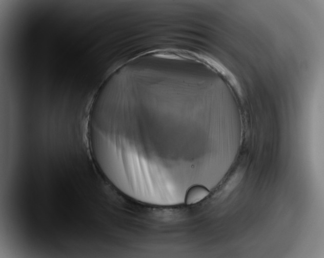 X0000087620945200705181310