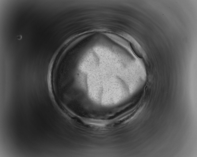 X0000087620947200705181310