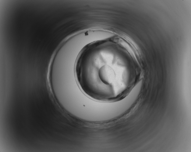 X0000087620948200705181310