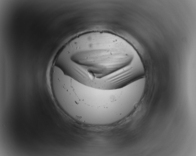 X0000087620950200705181310