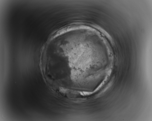 X0000087620953200705181310