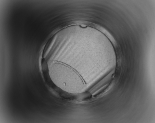 X0000087620954200705181310