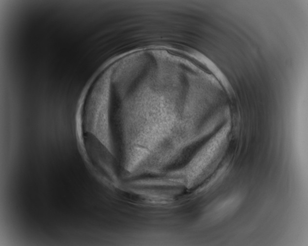 X0000087620955200705181311