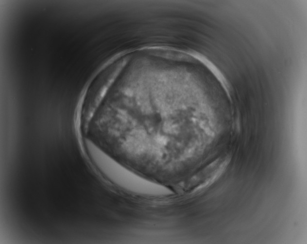 X0000087620957200705181311