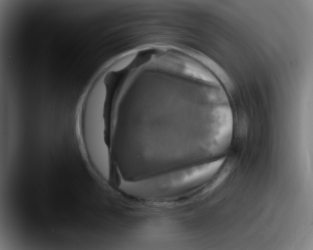 X0000087620958200705181311