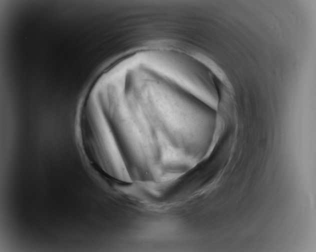 X0000087620960200705181311