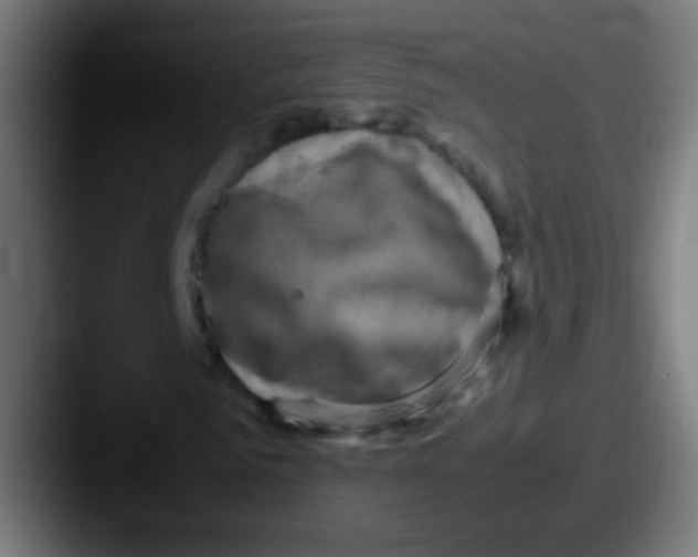 X0000087620961200705181310