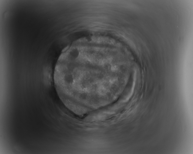X0000087620963200705181310