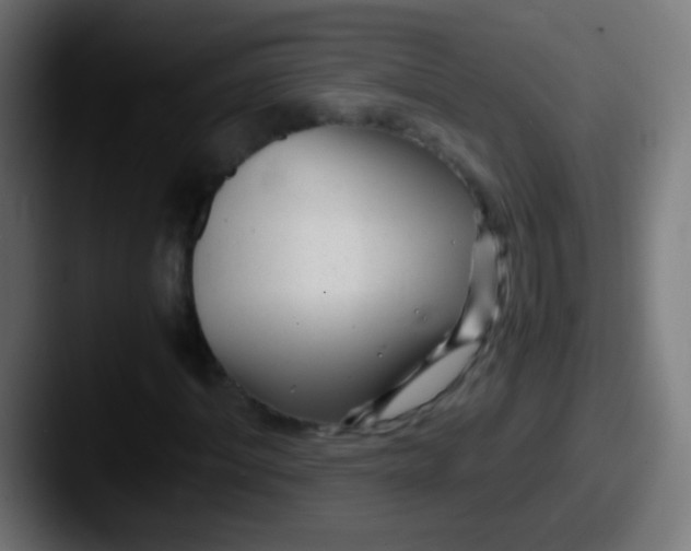 X0000087620964200705181310