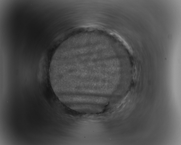 X0000087620967200705181310