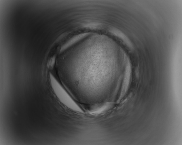 X0000087620968200705181310