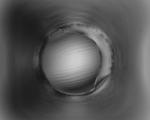 X0000087620969200705181310