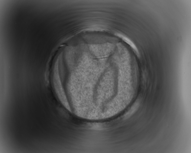 X0000087620970200705181310