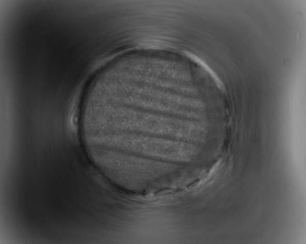 X0000087620971200705181310