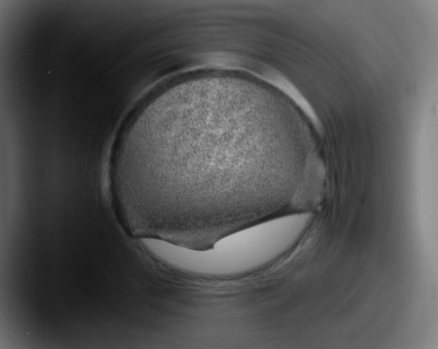 X0000087620972200705181310