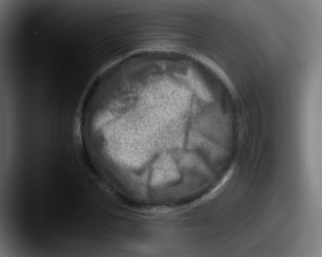 X0000087620974200705181310