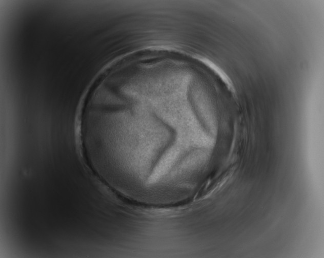 X0000087620976200705181310