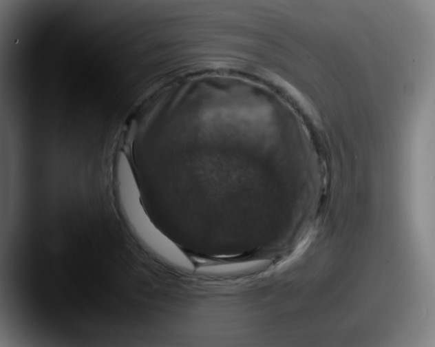X0000087620977200705181310