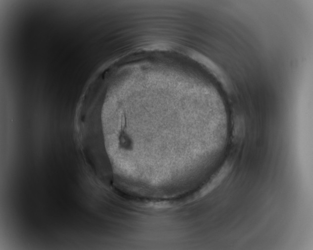 X0000087620978200705181310