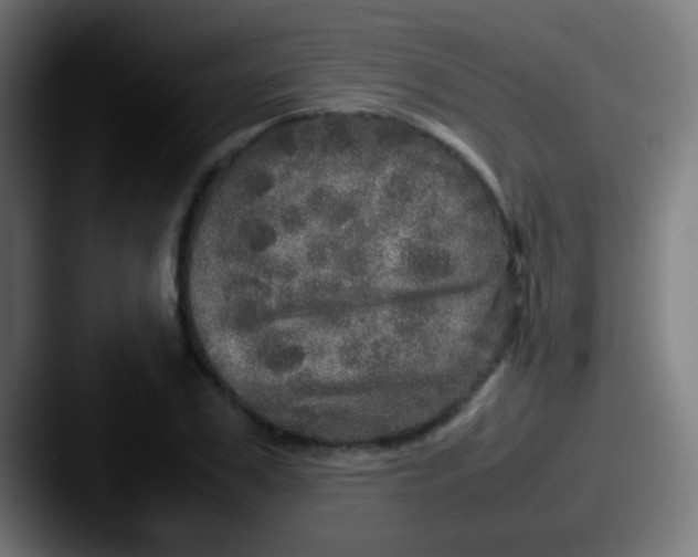 X0000087620979200705181310