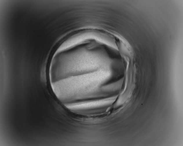 X0000087620980200705181310