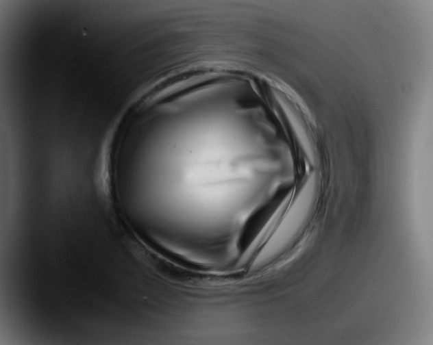 X0000087620981200705181310