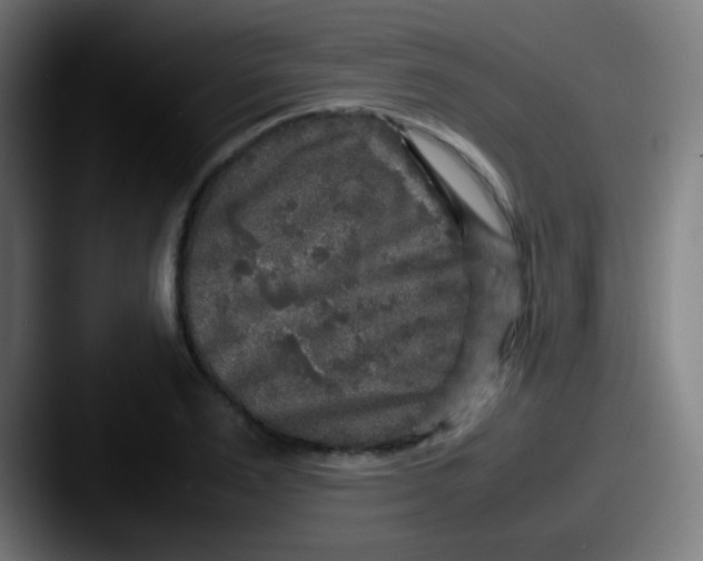 X0000087620983200705181310