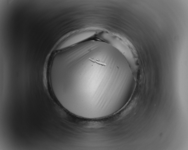 X0000087620984200705181310