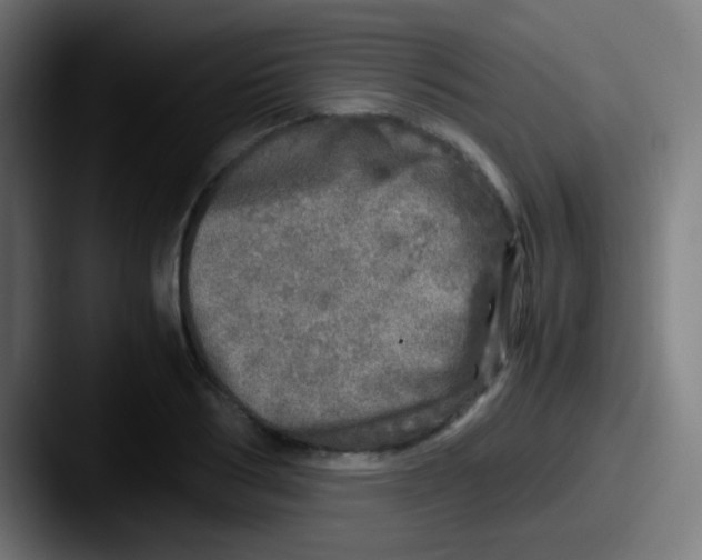 X0000087620986200705181310