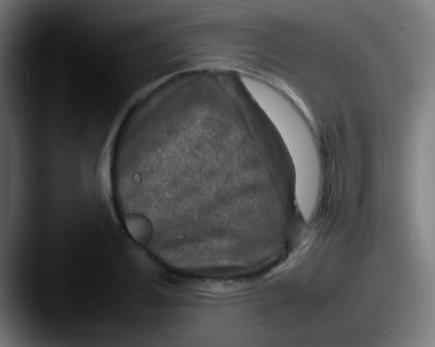 X0000087620987200705181310
