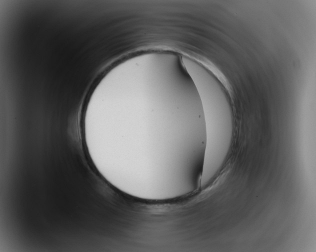 X0000087620988200705181310