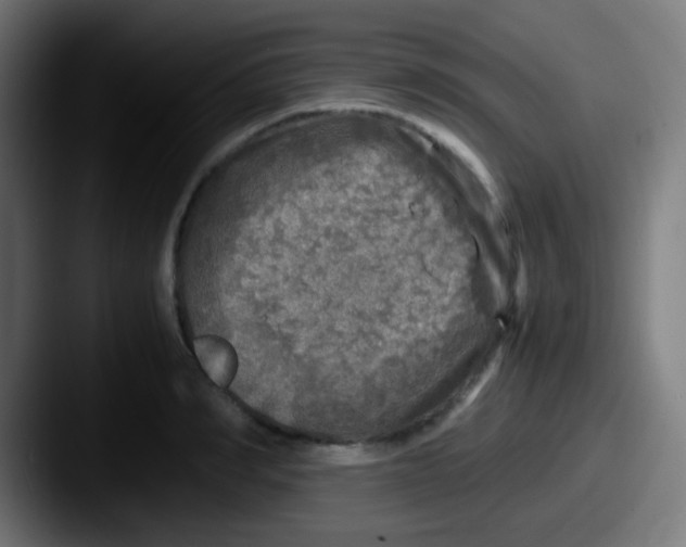 X0000087620990200705181310