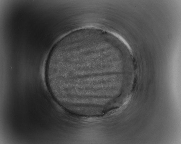 X0000087620991200705181310