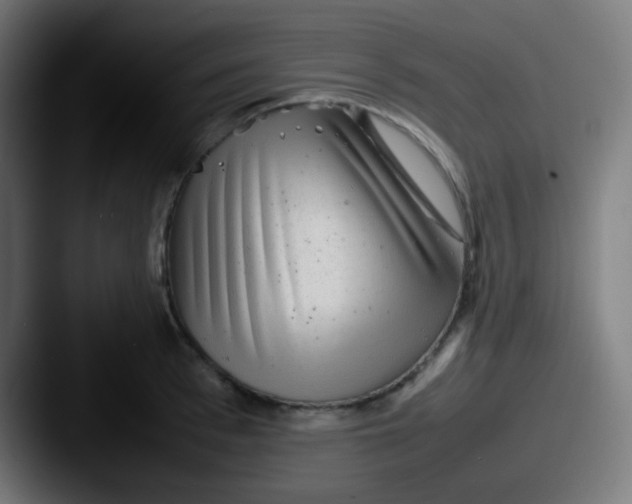 X0000087620993200705181310