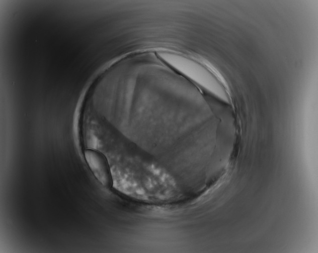 X0000087620995200705181310