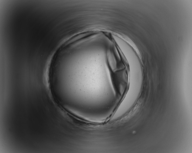 X0000087620997200705181310