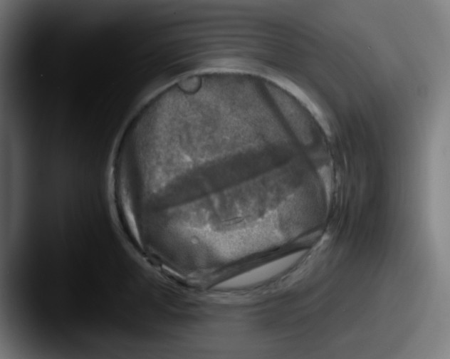 X0000087620998200705181310