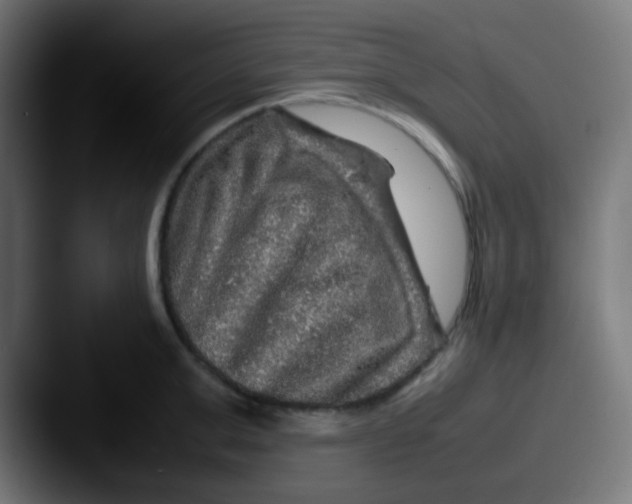 X0000087620999200705181310