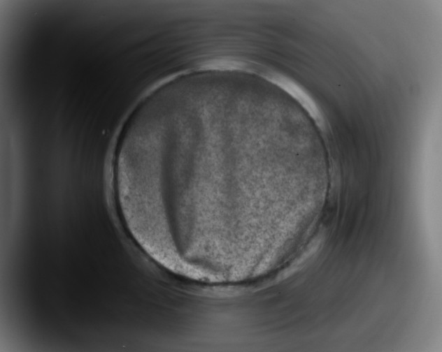 X0000087621000200705181310