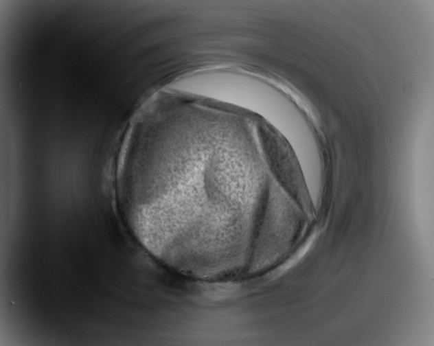 X0000087621001200705181310