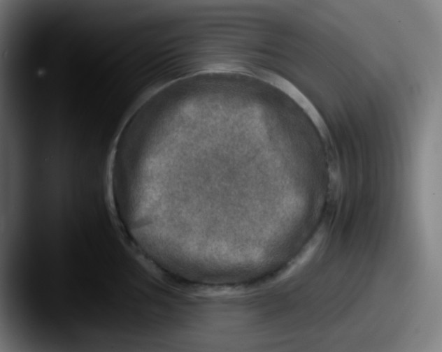 X0000087621002200705181310