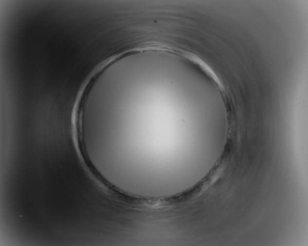X0000087621003200705181310