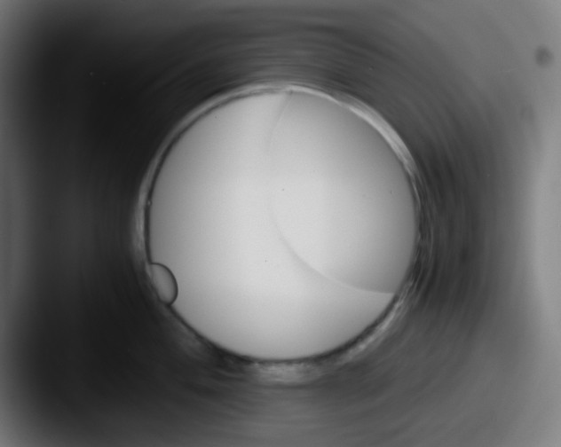 X0000087621004200705181310