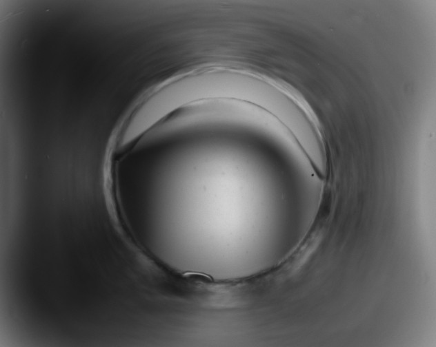 X0000087621005200705181309